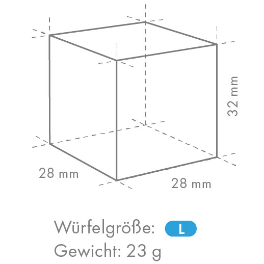 Hoshizaki IM-240 DNE-HC (L-Würfel)