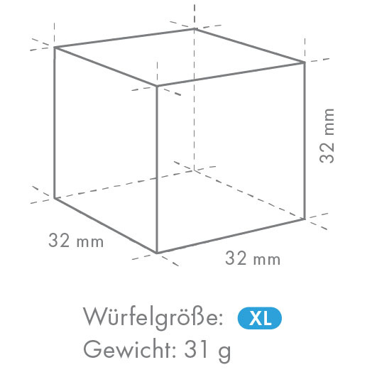 Hoshizaki IM-240DNE-HC-32 (XL-Würfel)